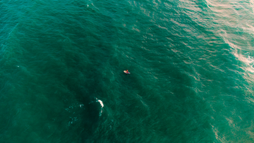 Deep Water Paddling, Sunshine Coast, Queensland