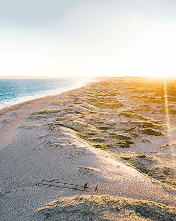 Doggo Dunes