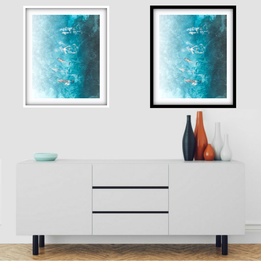 Dolphins