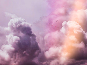 Dream Realm
