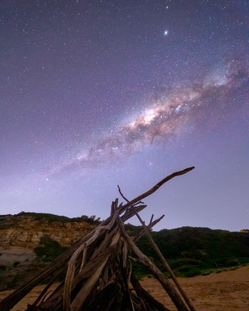 Driftwood