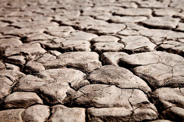 Dry Lake, CA2
