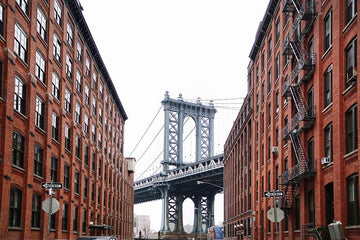 Dumbo