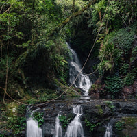 Elabana Falls in Lamington National Park, Gold Coast