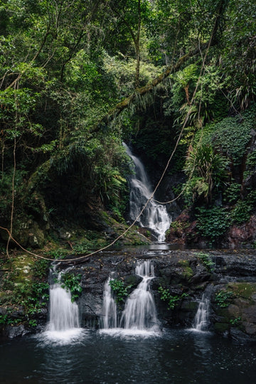 Elabana Falls in Lamington National Park, Gold Coast