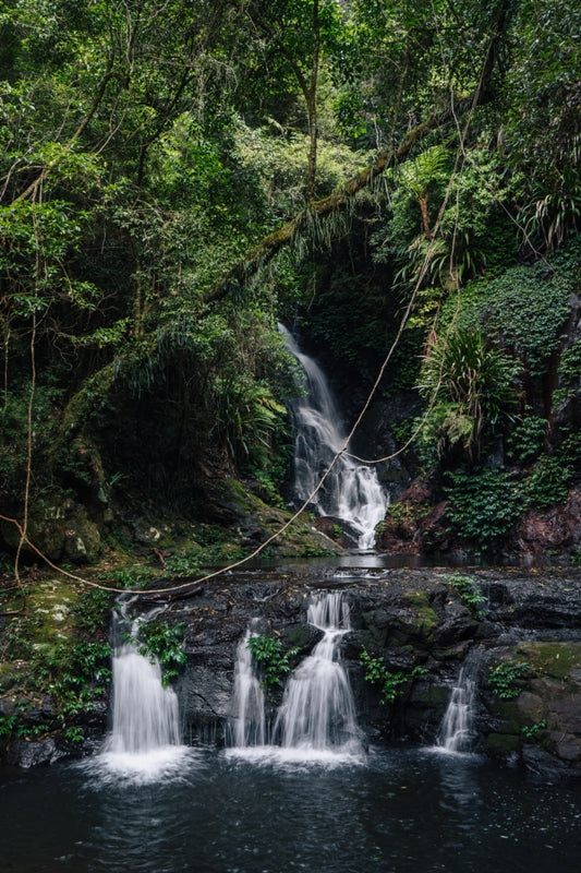 Elabana Falls in Lamington National Park, Gold Coast