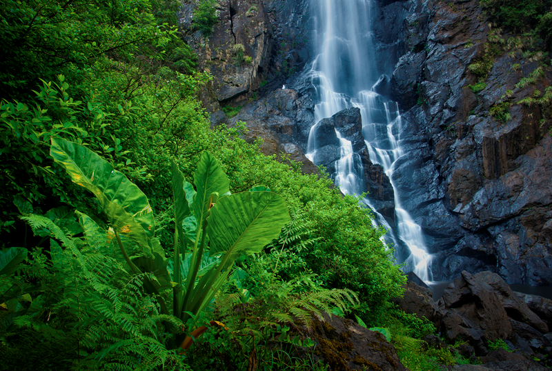 Ellenborough Falls