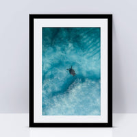 Exmouth Turtle