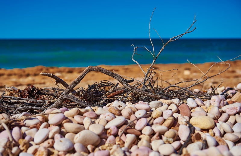 Exmouth Layers