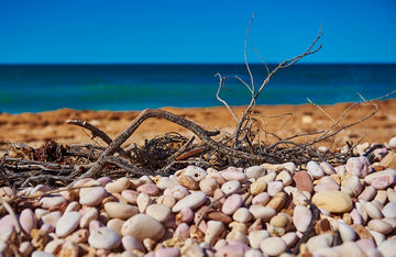 Exmouth Layers