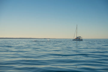 Exmouth Whale Watching