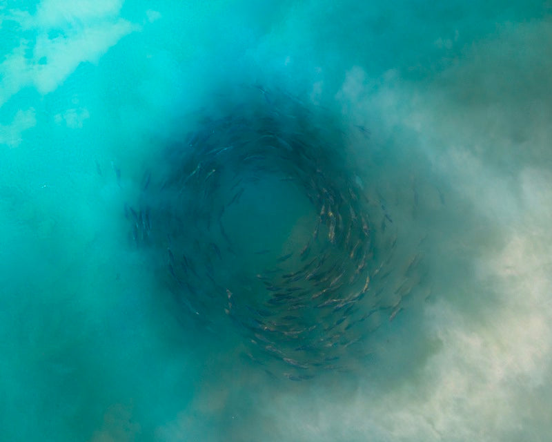 Eye of the sea - Floreat