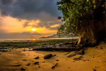 FORGOTTEN BEACH