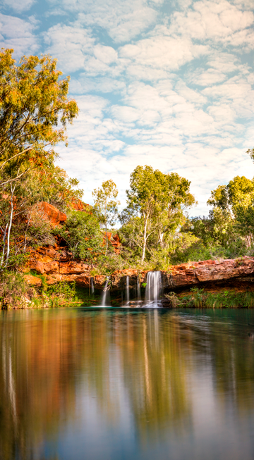 Fern Pool