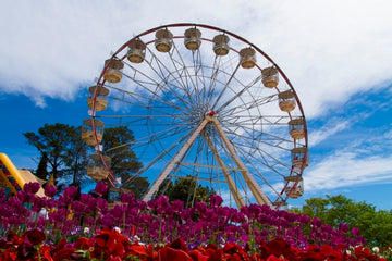 Ferris