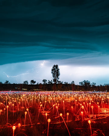 Field of Light