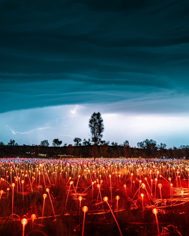 Field of Light