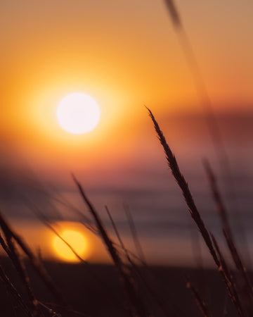 First light in Tassie