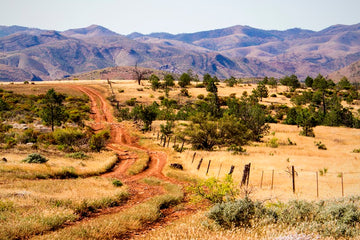Flinders Ranges