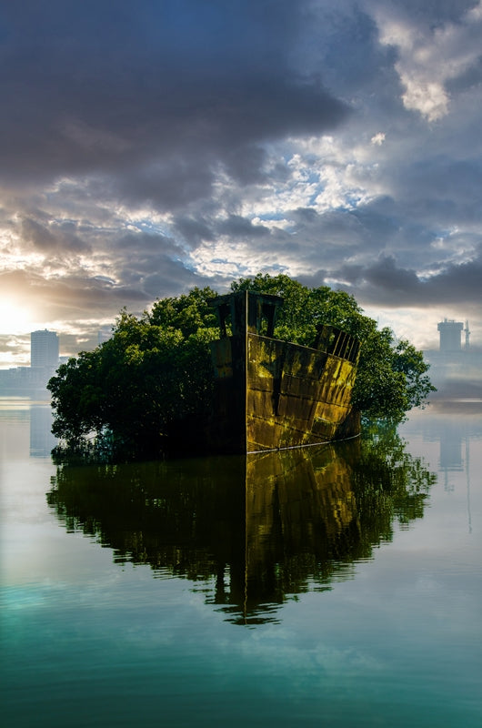 Floating Eden