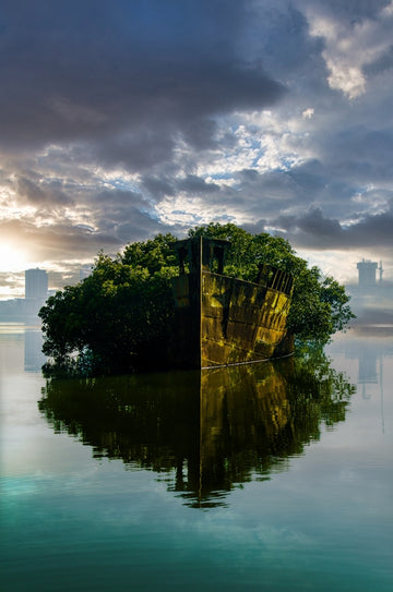 Floating Eden