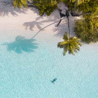 Floating in Paradise