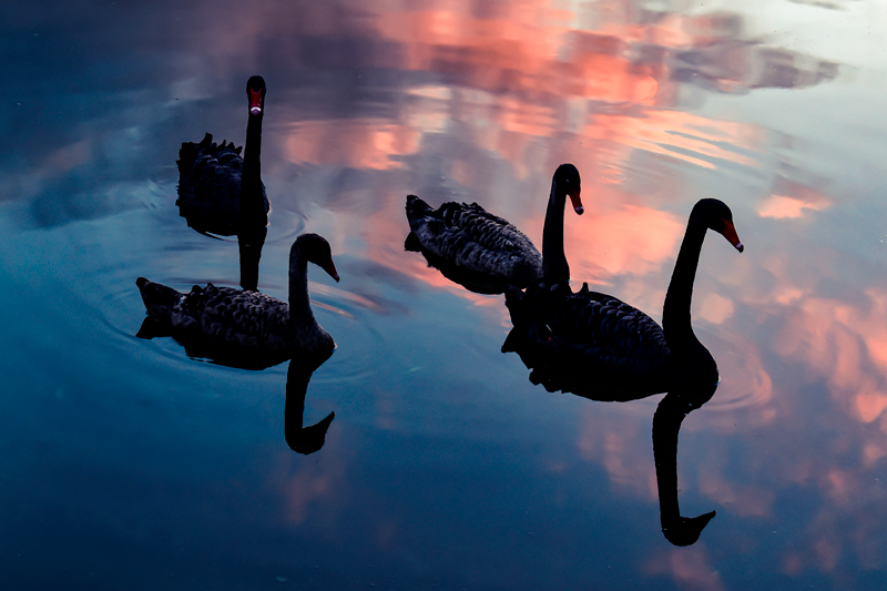 Floating on a Dream