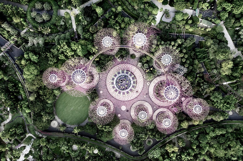 Flower Power
