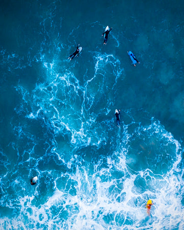 Follow the Leader, North Beach, Hillary's WA