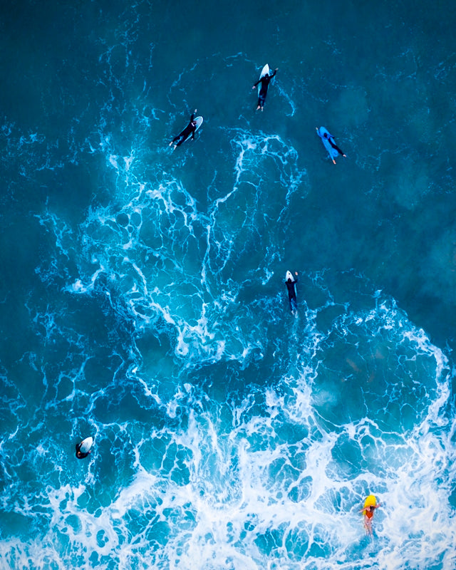Follow the Leader, North Beach, Hillary's WA