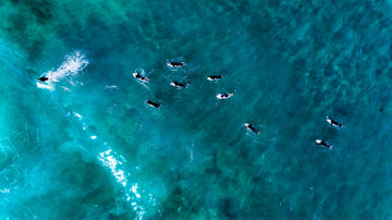 Follow the leader