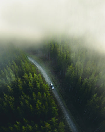Forest Drive