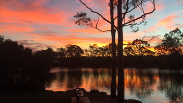 Forest Lake