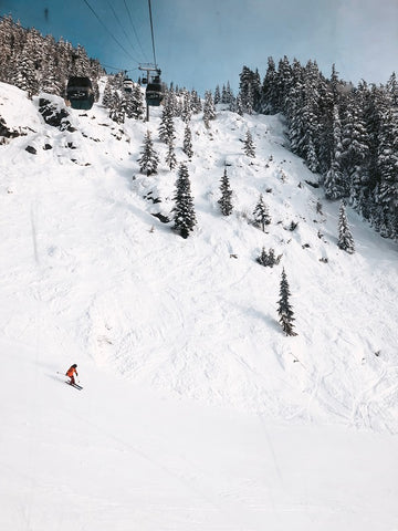 Fresh Powder - Whistler Blackcomb