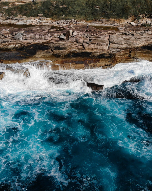 Freshwater Coastline