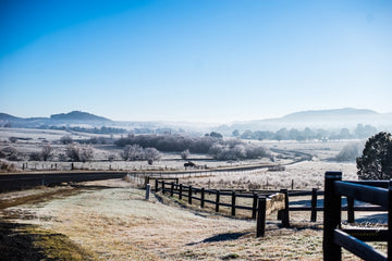 Frosty Winter Morning