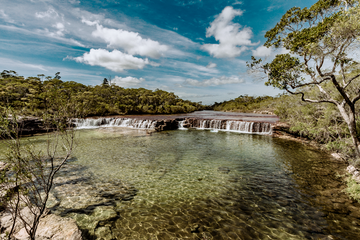 Fruit Bat Falls