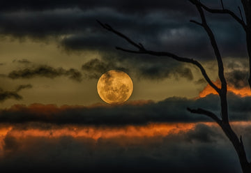 Full Moon