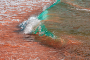 Fury Tiny Wave