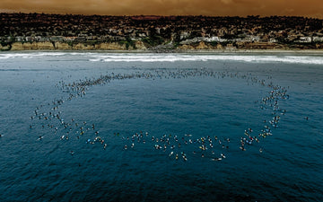 George Floyd Paddleouts 23