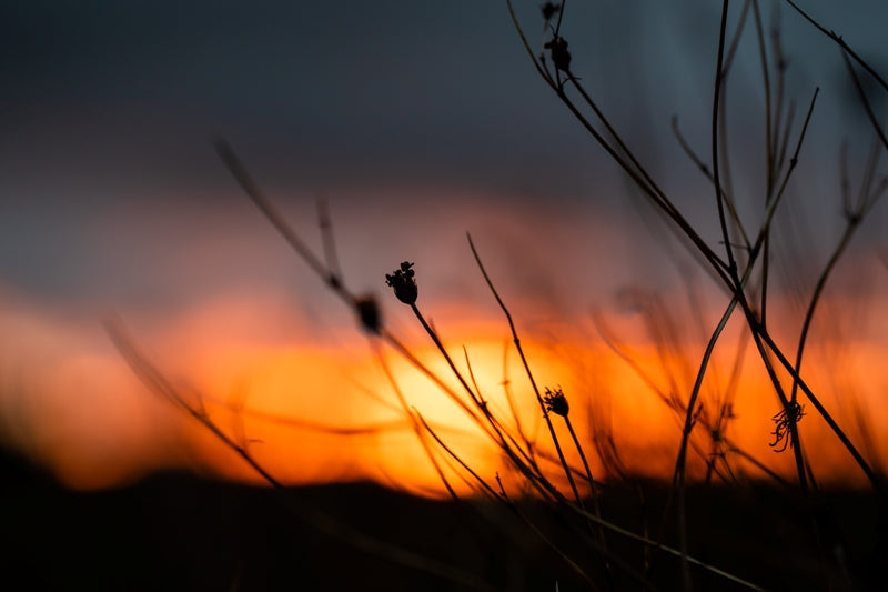 Gibraltar National Park