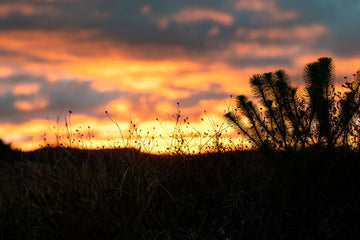 Gibraltar National Park 2