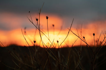 Gibraltar Range Storm