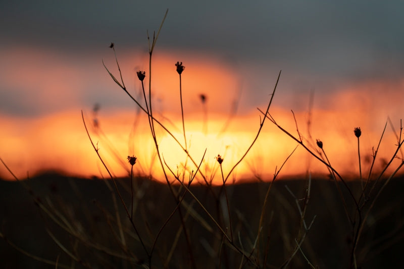 Gibraltar Range Storm