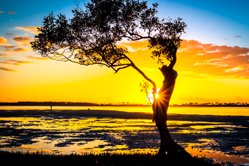 Golden Beach Sunrise