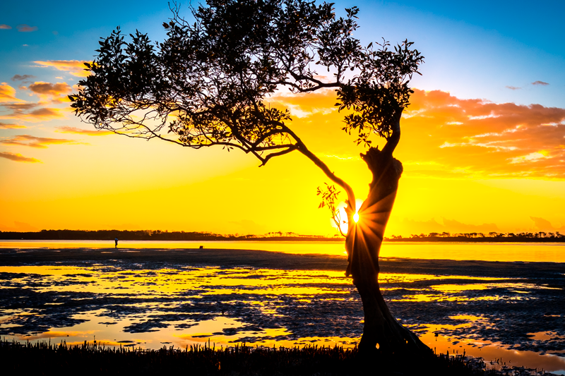 Golden Beach Sunrise