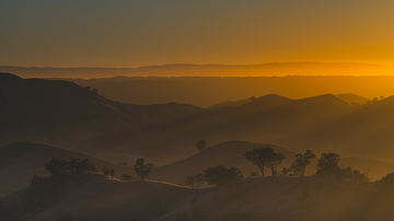 Golden Sunrise