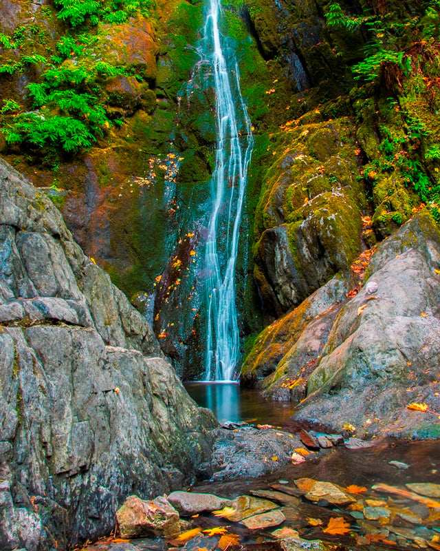 Goldstream falls
