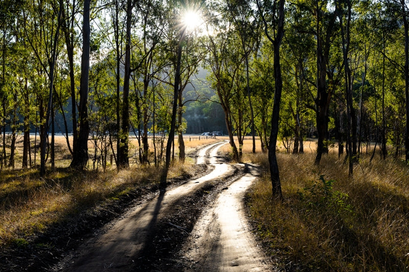 Gordon Country Field Of Dreams