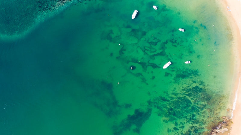 Green Cove
